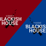 Blackish House sideA→ & ←sideZ｜評価
